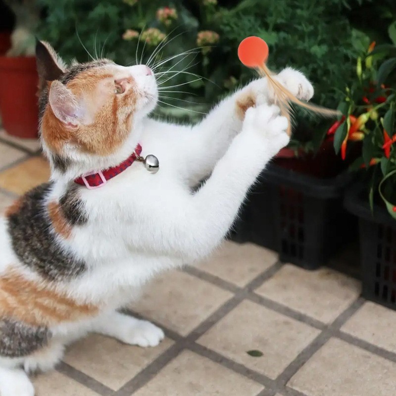 cat toy ball that moves 