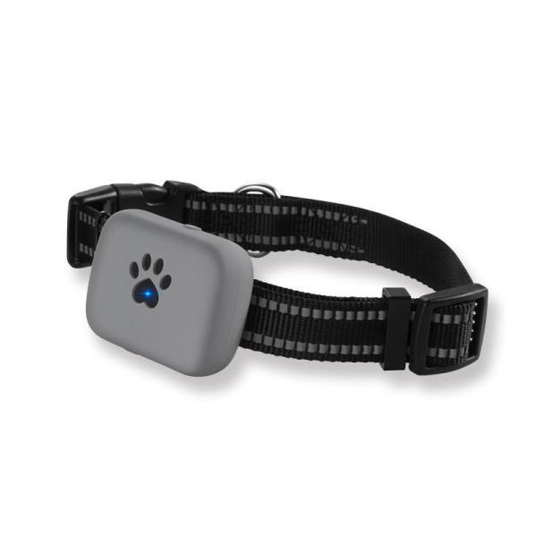 Quality 52mm Length Battery Powered Real Time Pet GPS Tracker 1000M Range for sale