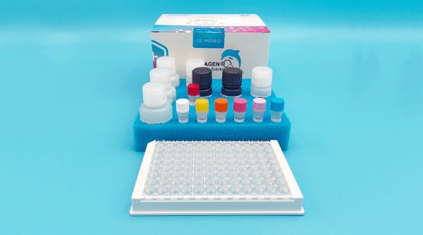 Quality Nitrofurazone (SEM) ELISA Drug Residue Test Kit Quick 0.025ng/ml Sensitivity for sale