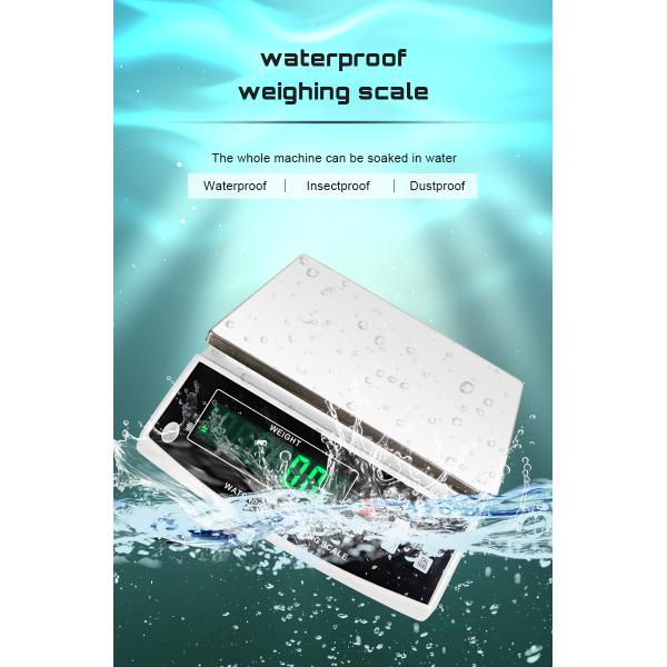 Waterproof Acs Price Scale Double Display Industrial Weighing Scale