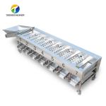 Circulating Hole Fruit Processing Line , Tengsheng Roller Conveying Vegetable
