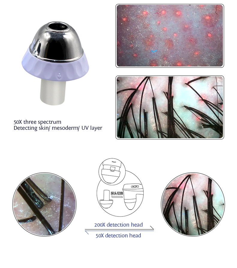 Desktop Scalp Analysis Care Machine for Skin Hair and Follicle Analysis For Commercial