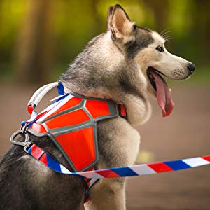 Adjustable Reversible Soft Breathable Pet Smart Harness