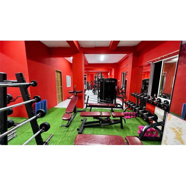 Befreeman All In One Multi Functional Smith Machine Gym Professional Comprehensive Training Home Fitness Strength Workout Equipment Freeman System