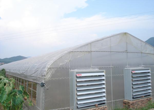 Quality Smart Industrial Multi Span Greenhouse For Vegetable Growing for sale