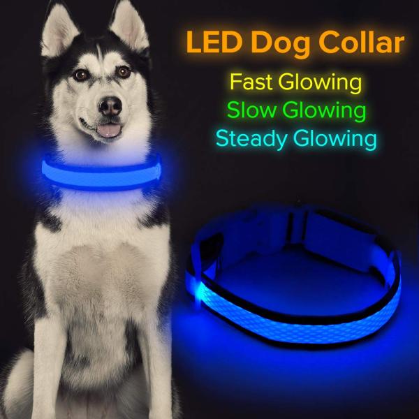 Durable Rechargeable Lighted Dog Collars Heavy Duty Nylon Webbing Material