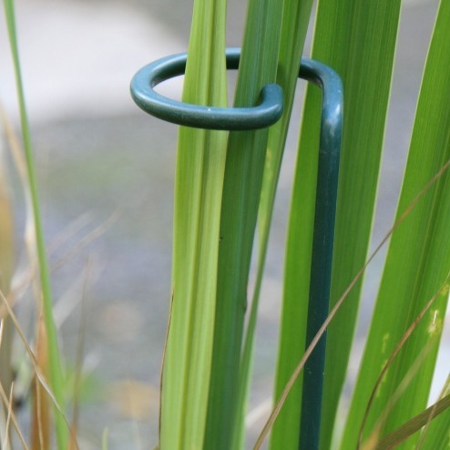 Metal Plant Support Stainless Steel Wire Forming Bright Surface For Potted Plants