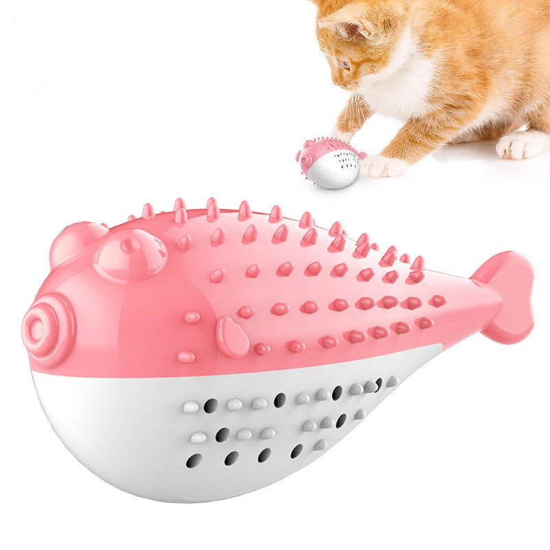 cat Mint toothbrush