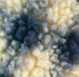 China Experience the Softness and Warmth of 160cm Width 100% Polyester Sherpa Fleece Fabric wholesale