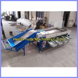 Potato sorting machine, potato grading machine