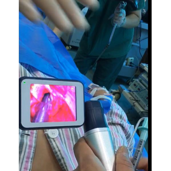 Veterinary flexible Bronchoscopy Fiber Optic Anesthesia video laryngoscopy airway pediatric stainless Miller Macintosh