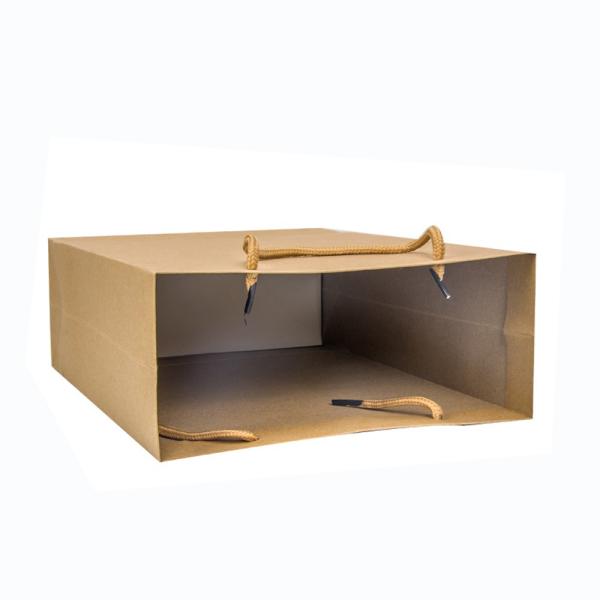 Exquisite Hand Length Handle Sealing Cardboard Luxury Multicolor Printing Bags