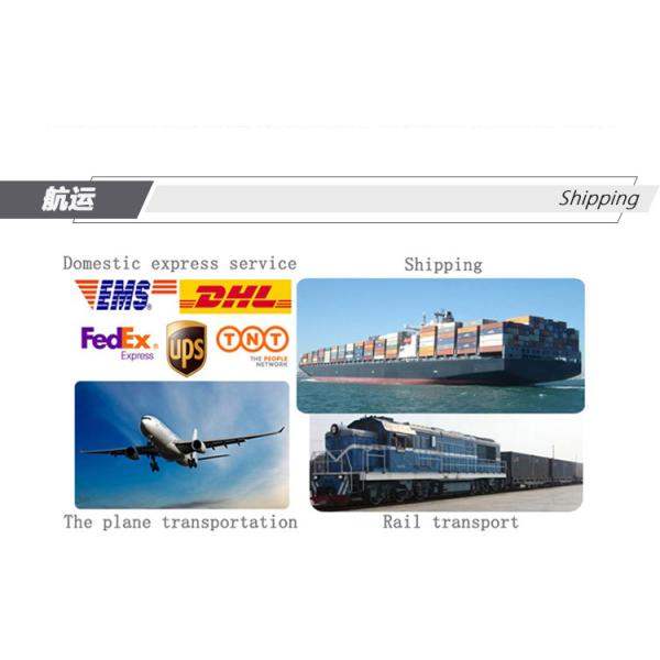 2.77mmx29mm Endoscope Rod Optical Camera Lenses Outdoor Light