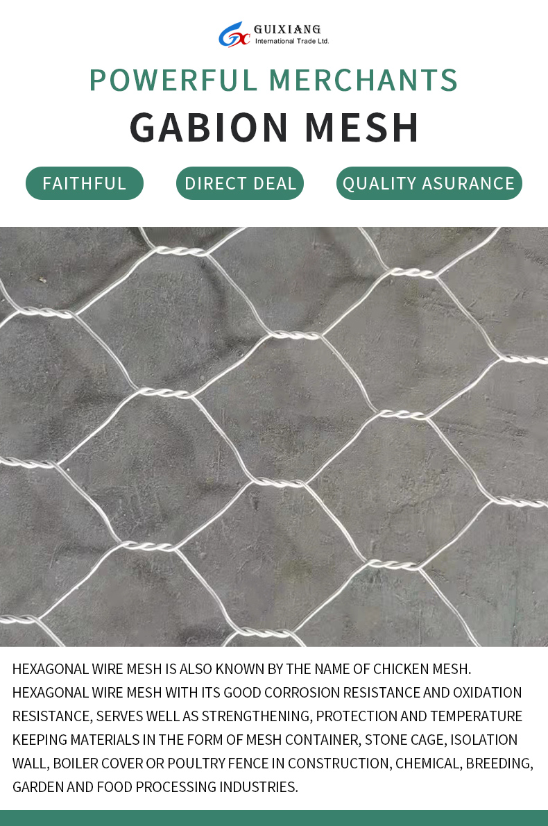 Wall Gabion Mesh Roll Hexagonal Lead Low Price Hot Dipped Galvanized Wire Mesh Silver Protection China Gabion Baskets Gabion Net