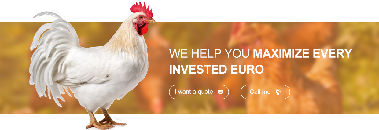 10000 Chickens Prefabricated Steel Tolerance ±1% for Chicken and Duck Farm Structures