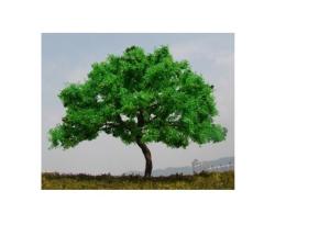 China LHG1008 artificial trees--model trees ,model materials,landscape trees wholesale