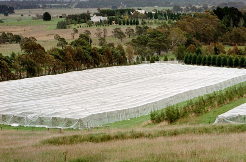 Waste Disposal Insect Mesh Netting Easywash 0.8 * 0.8mm For Horizontal Shed