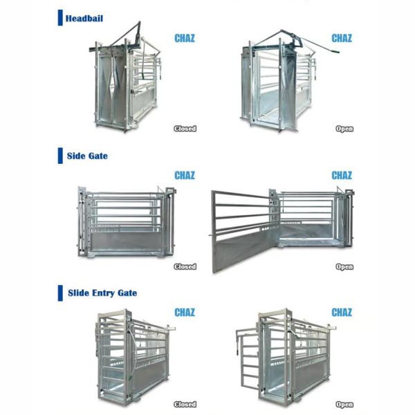 Professional galvanized steel cattle crush for safe and efficient livestock handling. Features adjustable restraints, durable construction, and smooth operation for veterinary work and farm management