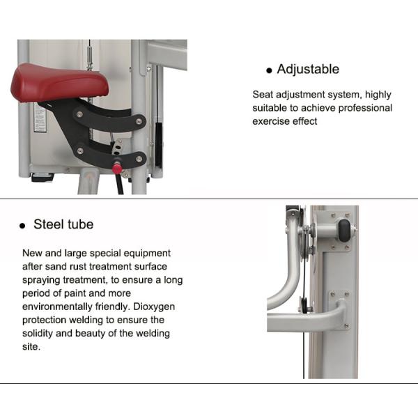 Professional Matrix Strength Training Equipment Gym Biceps Curl Machine