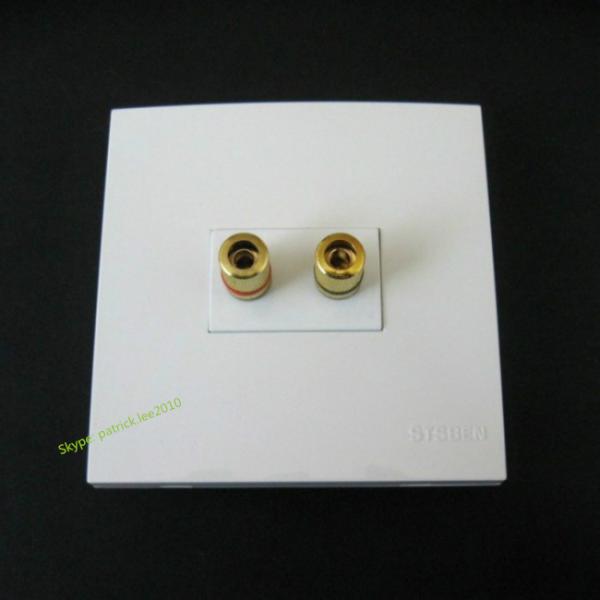 Smart Home Application Wall Socket With Audio Speaker Banana Connector 86x86mm Size