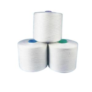 60 / 2 60 / 3 Ring Spun Polyester Twisted Yarn