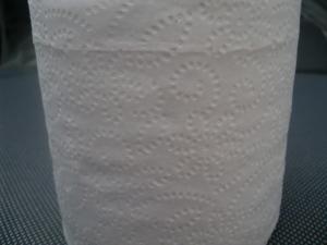 Customized Embossed Toilet Tissue Paper Roll