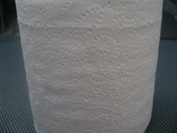 Quality Customized Embossed Toilet Tissue Paper Roll for sale