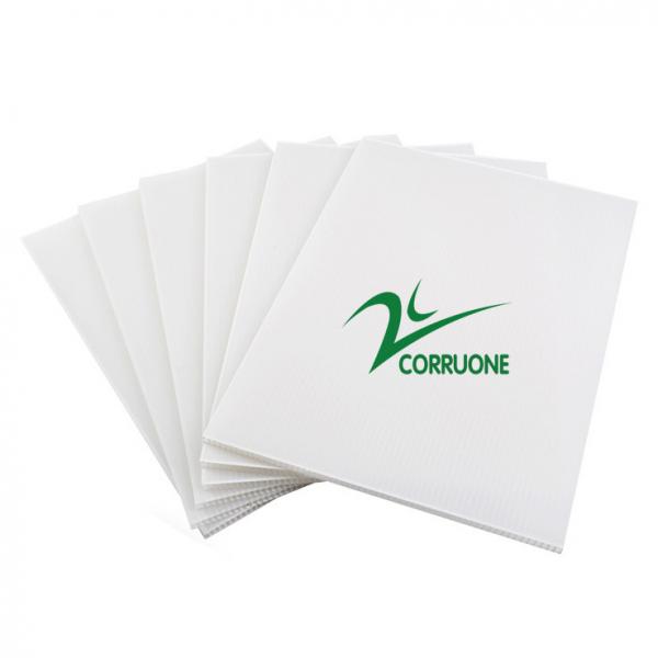 Quality Flame Retardant White Coroplast Board Glossy Lamination for sale