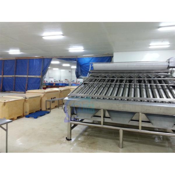 Roller Shrimp Grading Machine Multipurpose Stainless Steel Material
