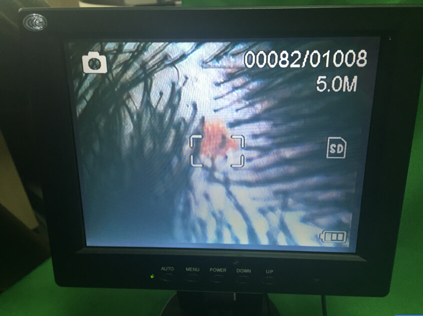 Hair Analyer Video Dermatoscope Observing Skin And Hair With 200 Times Magnification Stored Picures in SD Card