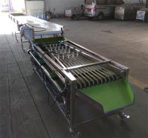 China cherry tomato sorting machine, blueberry grading machine, cherry sorting machine wholesale