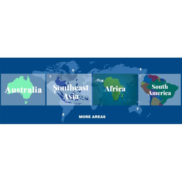 10-600mm2 PVC Insulated and Sheathed Multicore Aluminum Conductor DC/AC Power Cable