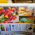 Customized Request High Speed 6 Color Unit Type Flexo Printing Machine for Paper