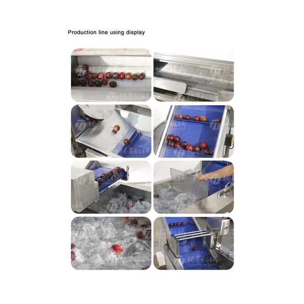 SS Fruit And Vegetable Hair Roller Bubble Cleaning Machine 800KG/H