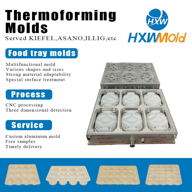 PET Transparent Vacuum Forming Mold Clear Dumpling Packaging Mold