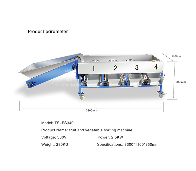 280KG Lemon screening and grading machine special stainless steel roller fruit sorting machine fruit sorting machine