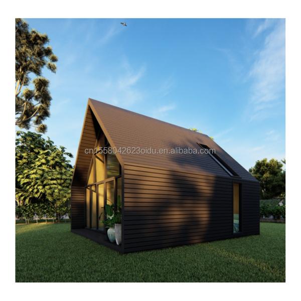 Steel Structure Triangular Wooden House