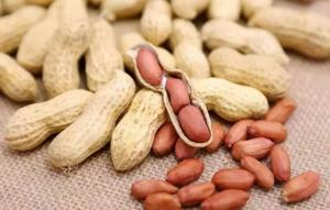 China Original Materials Peanuts Raw Nuts Hard Texture Crispy Taste Good For Stomach wholesale