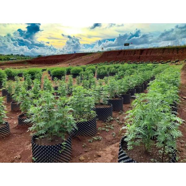 25L Propagator Kits PVC Plastic 35cm Air Pruning Grow Bags