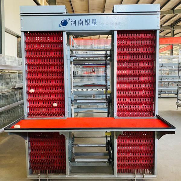 Quality Customized Multi Layer Poultry Cage Automatic Egg Collection Cages for sale