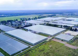 Weldless Multi Span Greenhouse Galvanized Frame For Bountiful Flower