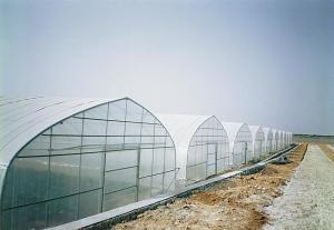 China Simply Structure Single Tunnel Greenhouse Dustproof Anti Mildew With Insect Net Available wholesale