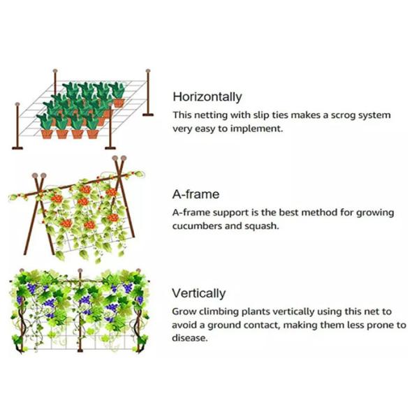 1.8m Height White Plastic Net Climbing Outdoor Plant Support