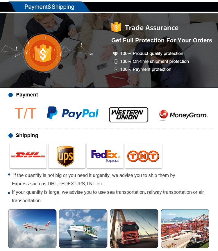 OEM 29 Inch 27.5 Inch Electric Bike with Colorful GPS Ebike Computer Calculate Calories