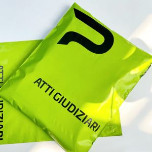 China Printable Polyethylene Custom Mailer Bags With Logo Tear Resistant wholesale