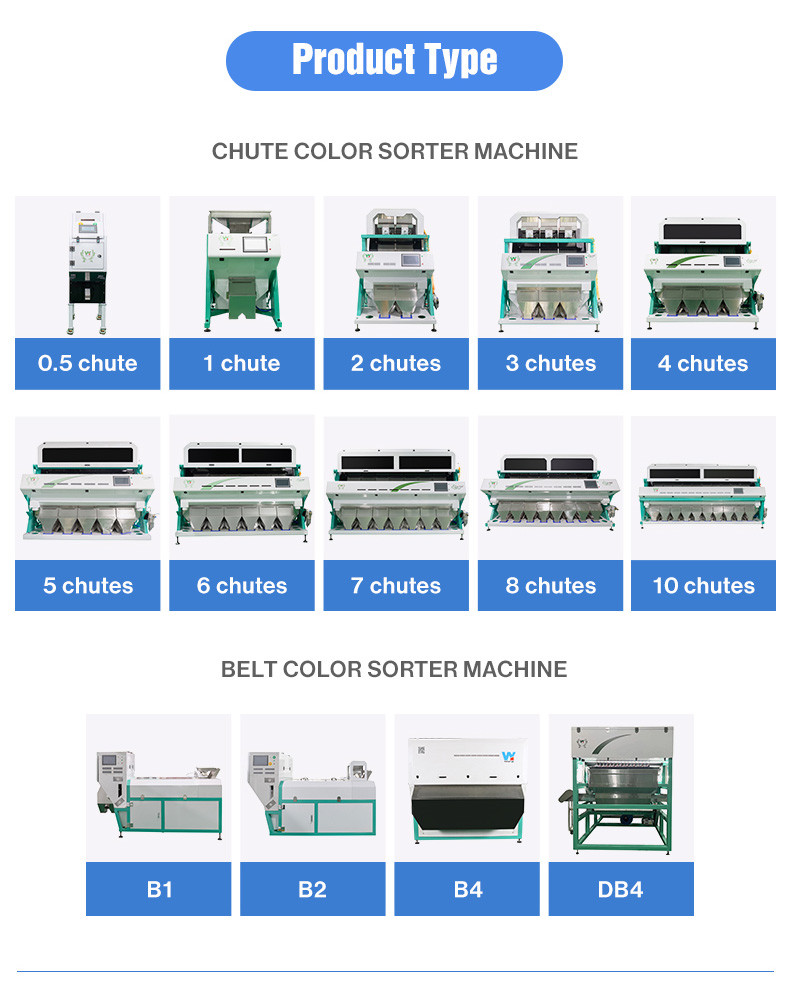 Processing AI Coffee Bean Sorter CCD Sorting Machine Color And Shape Sort