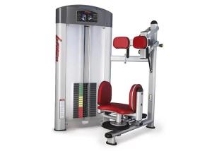 China Sports Training HS Gym Equipment 186kg Torso Rotation Machine on sale