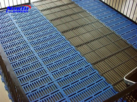 labor saving automatic pig feeding system with high quality