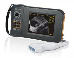 China Monochrome Display Veterinary Ultrasound Scanner L60 With 32 Digital Channels wholesale