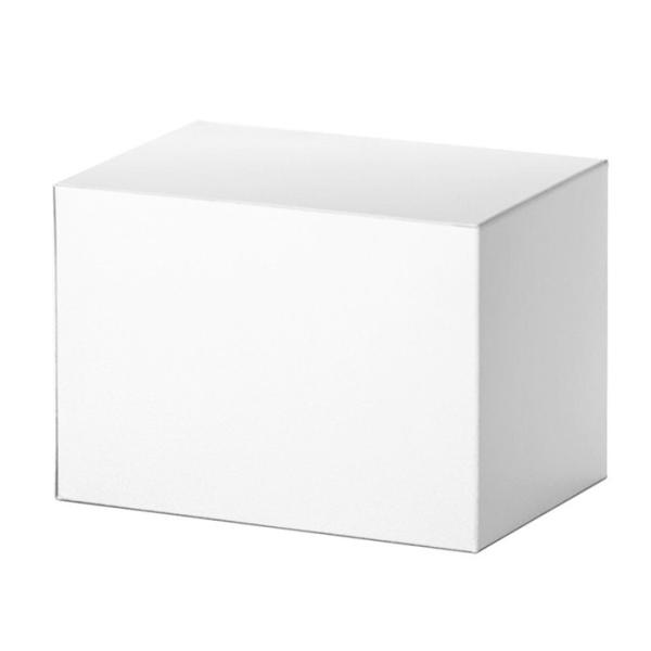 12V 2A Power Supply Adapter for CCTV Camera with 5.5mm DC Jack